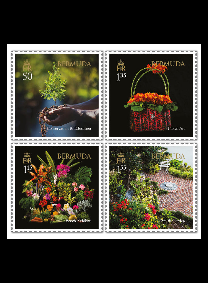 Bermuda 2021 Garden Club 4 value