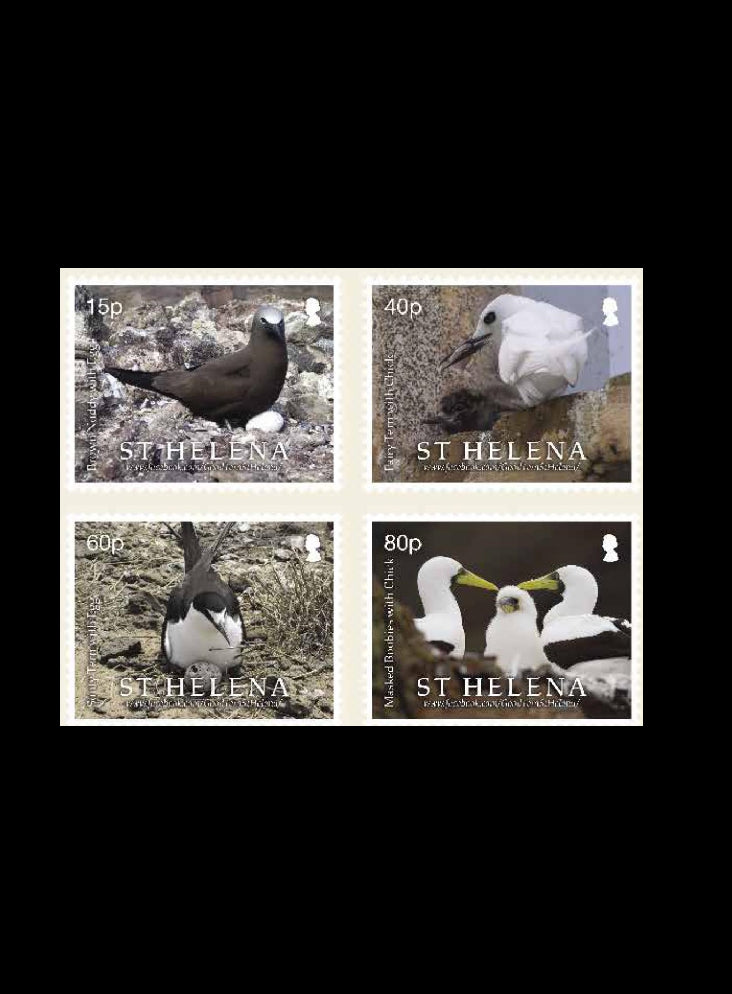St.Helena Parenting in Seabird Colonies 4v