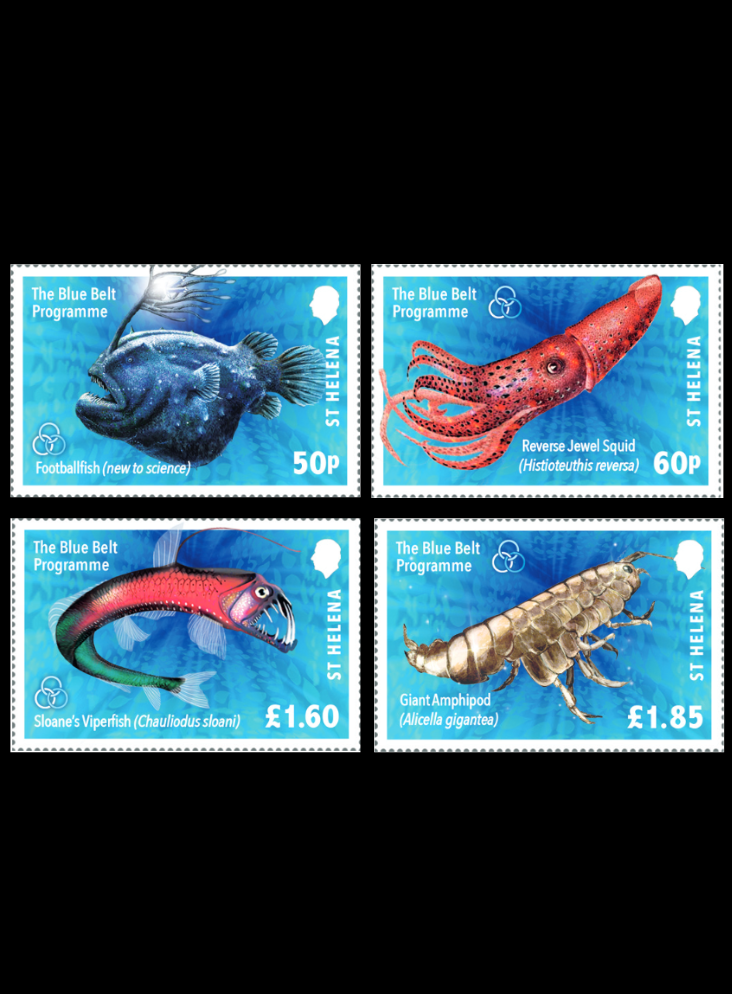 St. Helena Blue Belt Deep Sea Creatures – Xmas 2024 4v