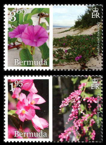 Bermuda in Bloom Pt.III 6 value set 18/8/16