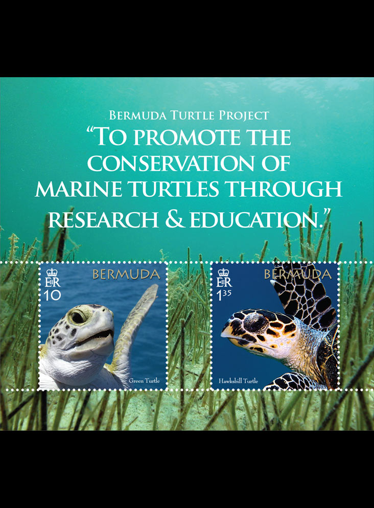 Bermuda Turtle Project 2 value miniature sheet 22/3/18