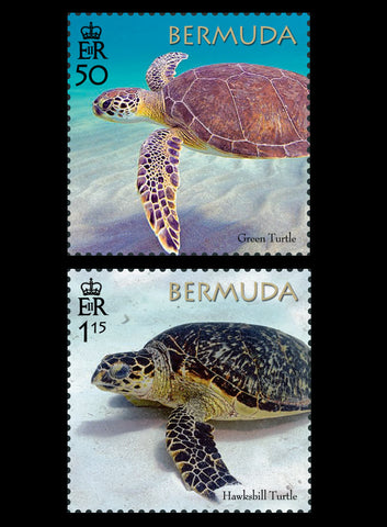 Bermuda Turtle Project 4 value set  22/3/18