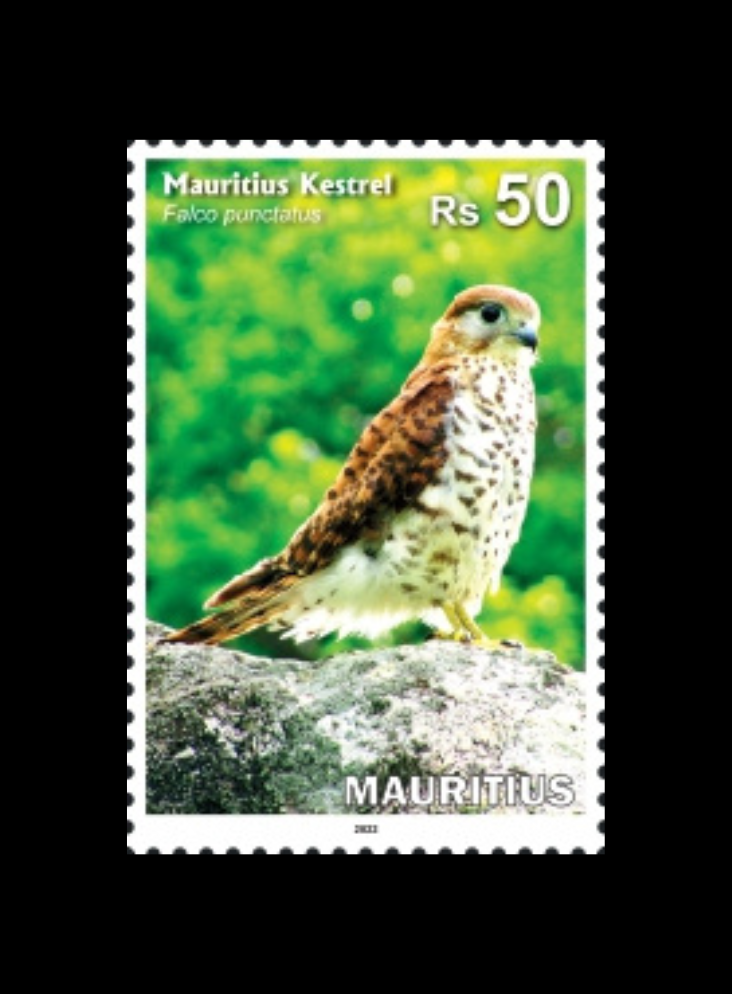 Mauritius National Birds/Mauritian Kestrel RS 50 1 Value